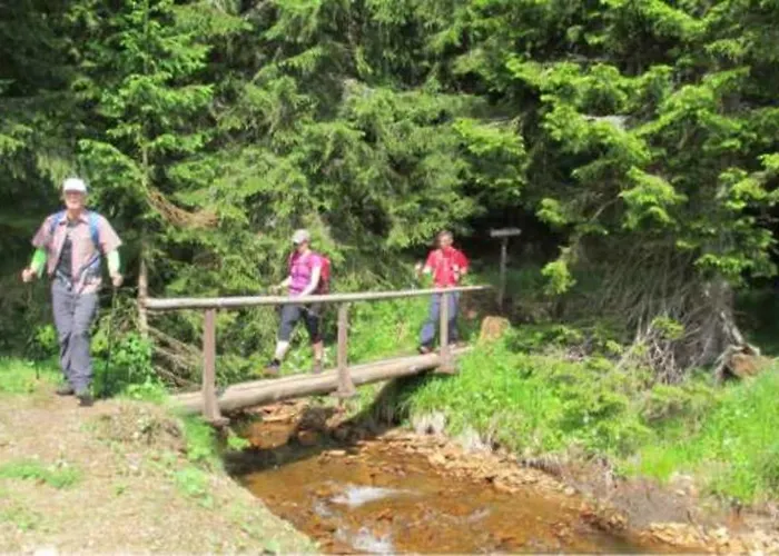 Gril Ranca Pod Pohorjem بيت ضيافة 3*