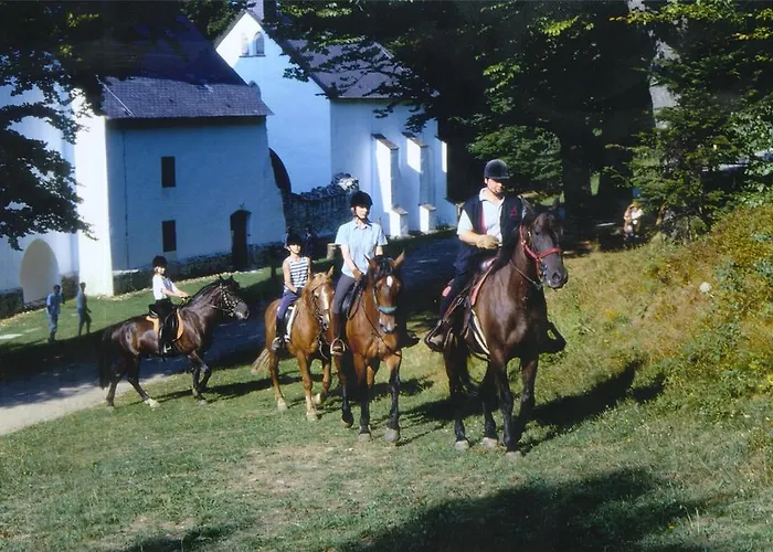 Gril Ranca Pod Pohorjem Pensjonat